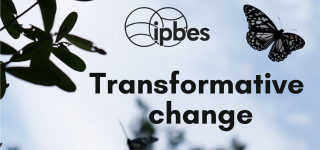 transformative change
